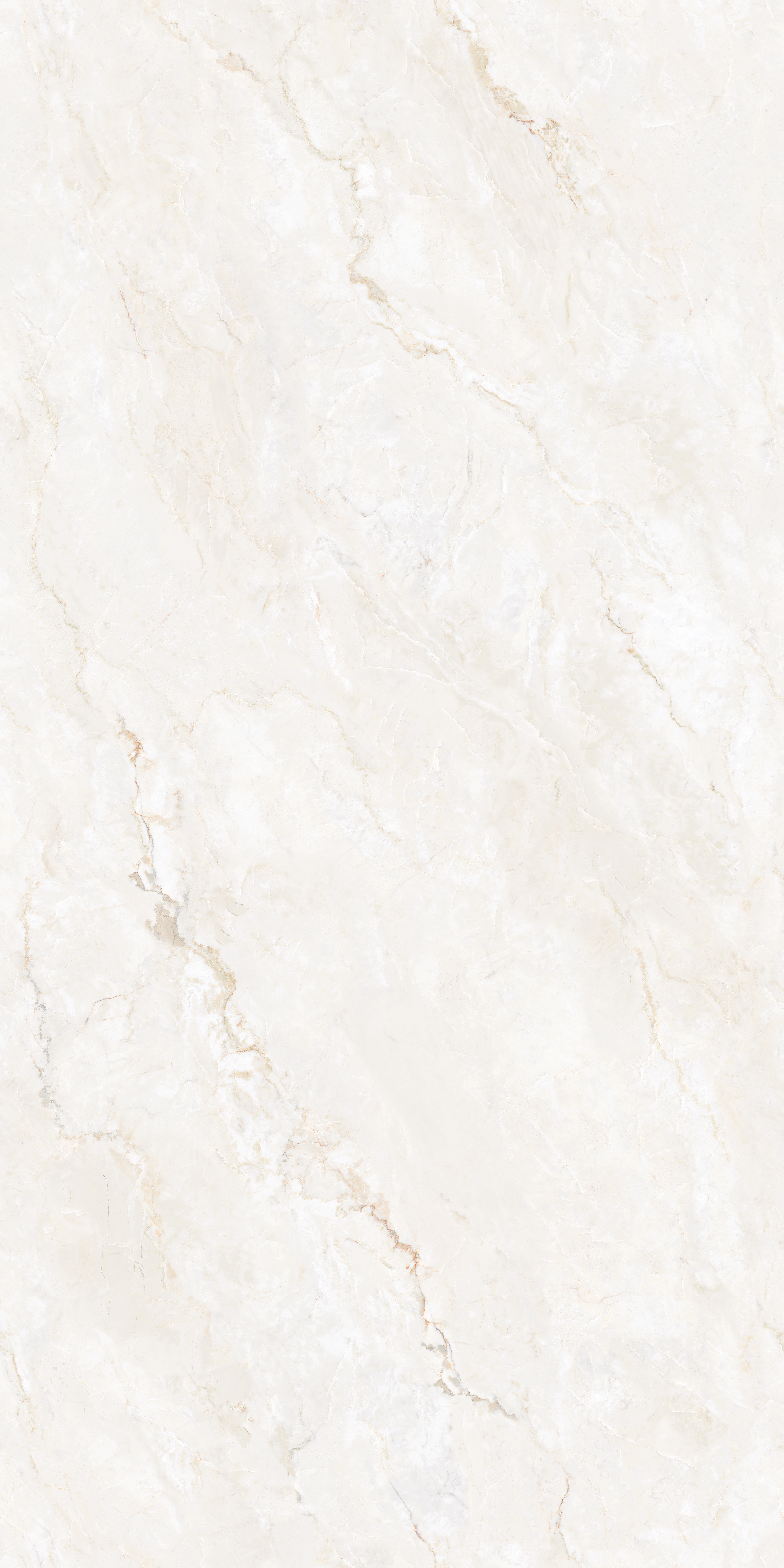 CITADEL IVORY 240 SLAB for Wall, Floor — Somany MAX LINE collection