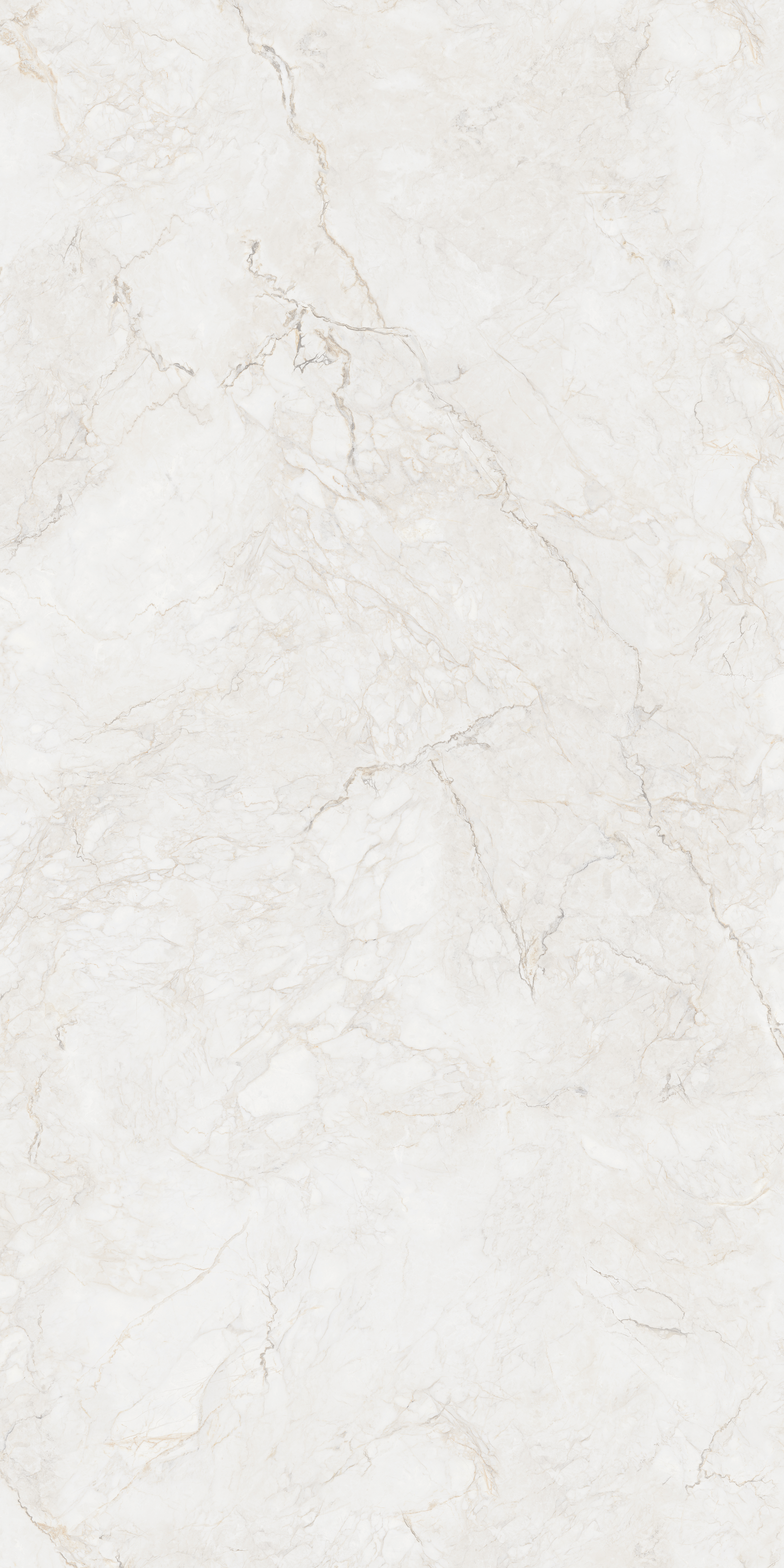 ROMANO PEARL 240 SLAB for Wall, Floor — Somany MAX LINE collection