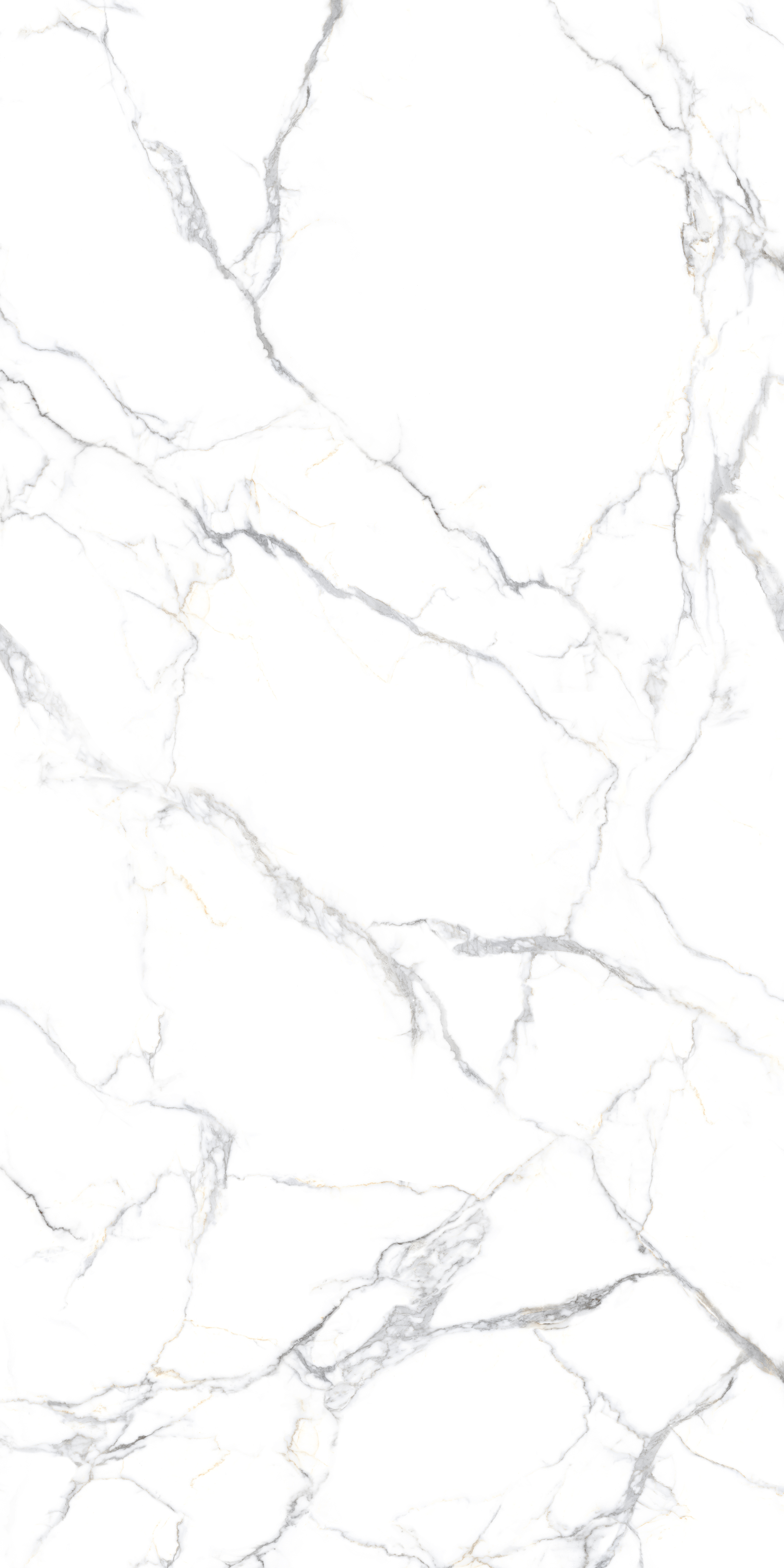 STATUARIO BRANCA 240 SLAB for Wall, Floor — Somany MAX LINE collection